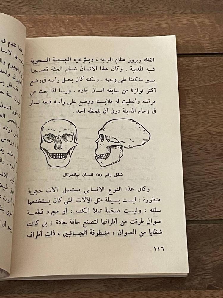 أصل الإنسان