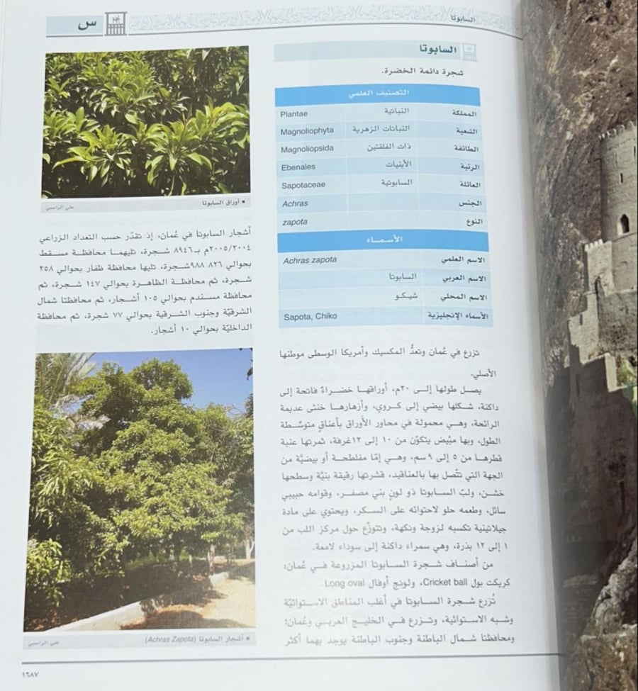 الموسوعة العمانية 1-11 مجلد