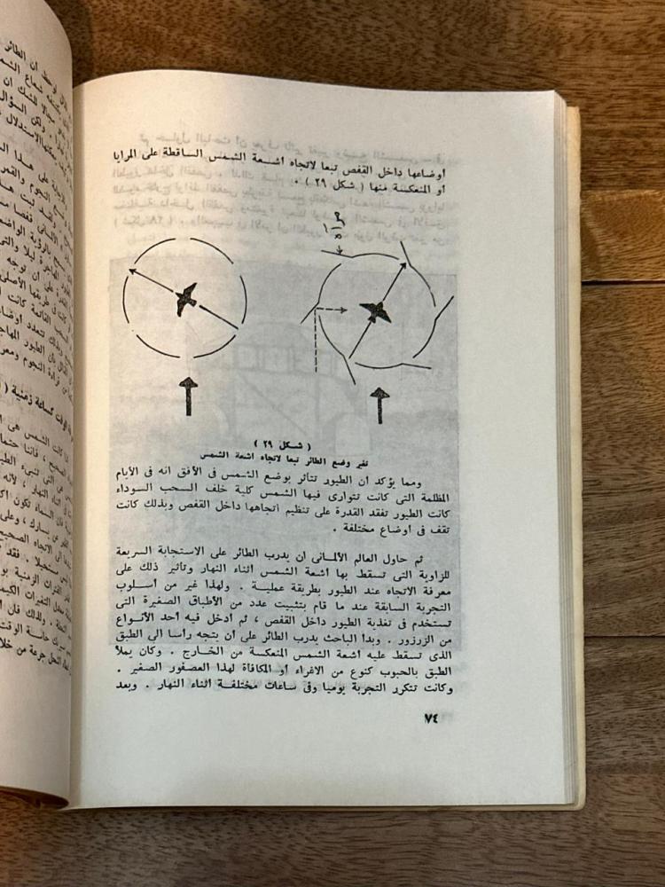 مع الحيوانات في رحلاتها