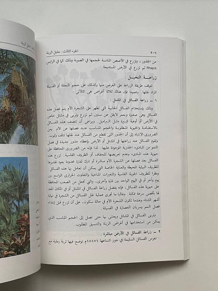 الأشجار والشجيرات والنخيل ودورهم في التوازن البيئي