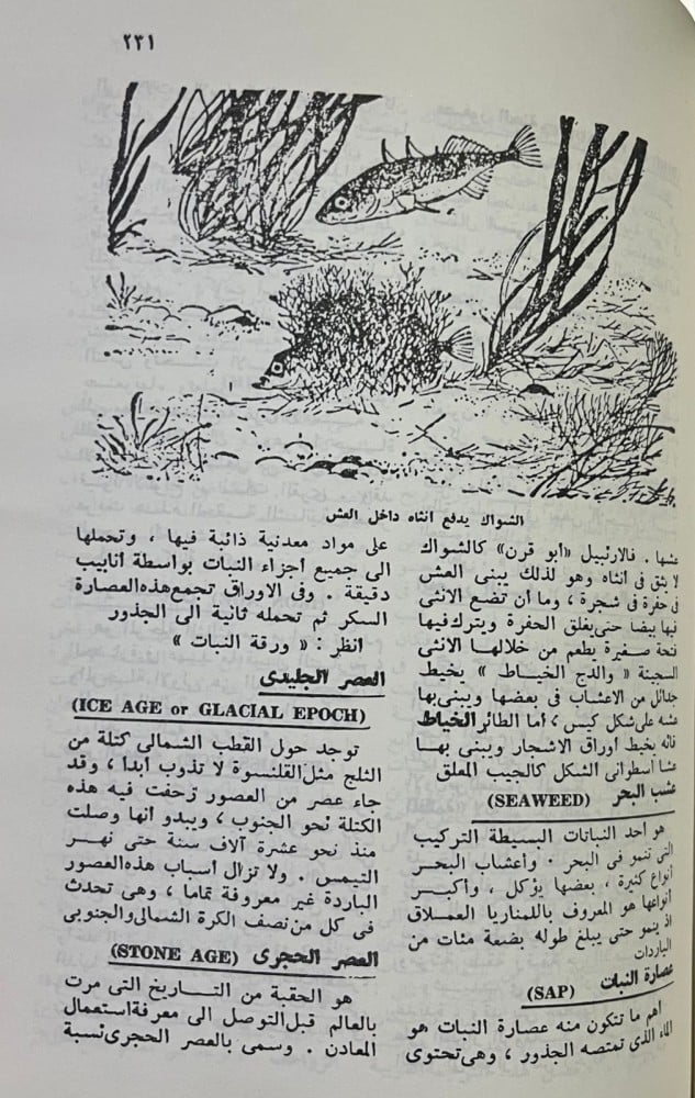 دائرة معارف الناشئين