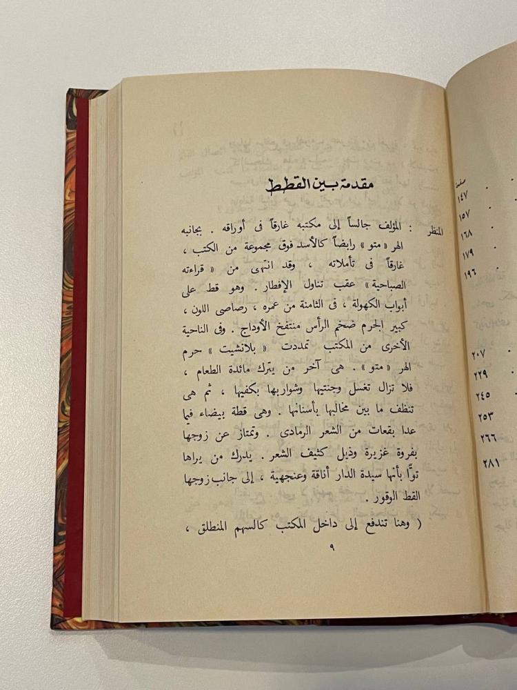 سندباد إلى الغرب