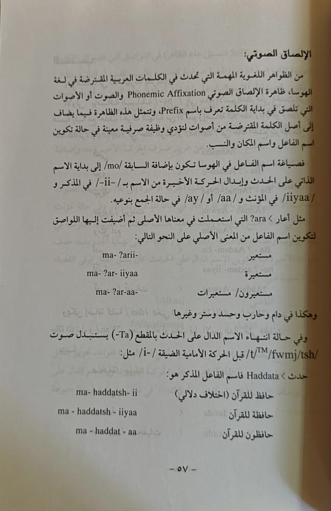أدب الهوسا الإسلامي