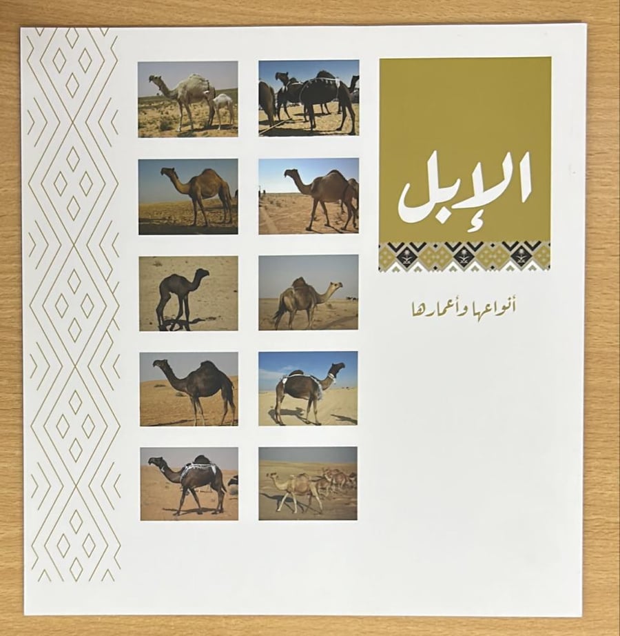 الإبل أنواعها وأعمارها