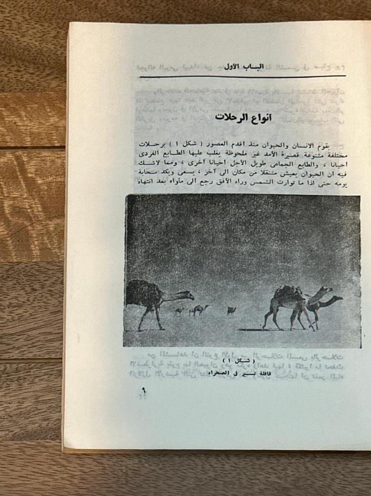 مع الحيوانات في رحلاتها