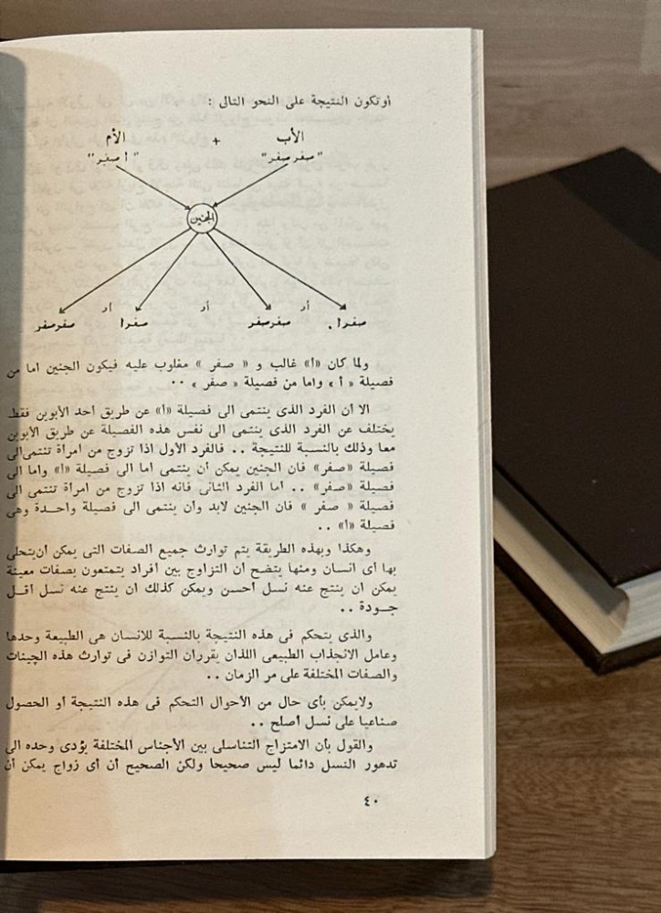 فكرة صائبة عن الأجناس والعنصرية