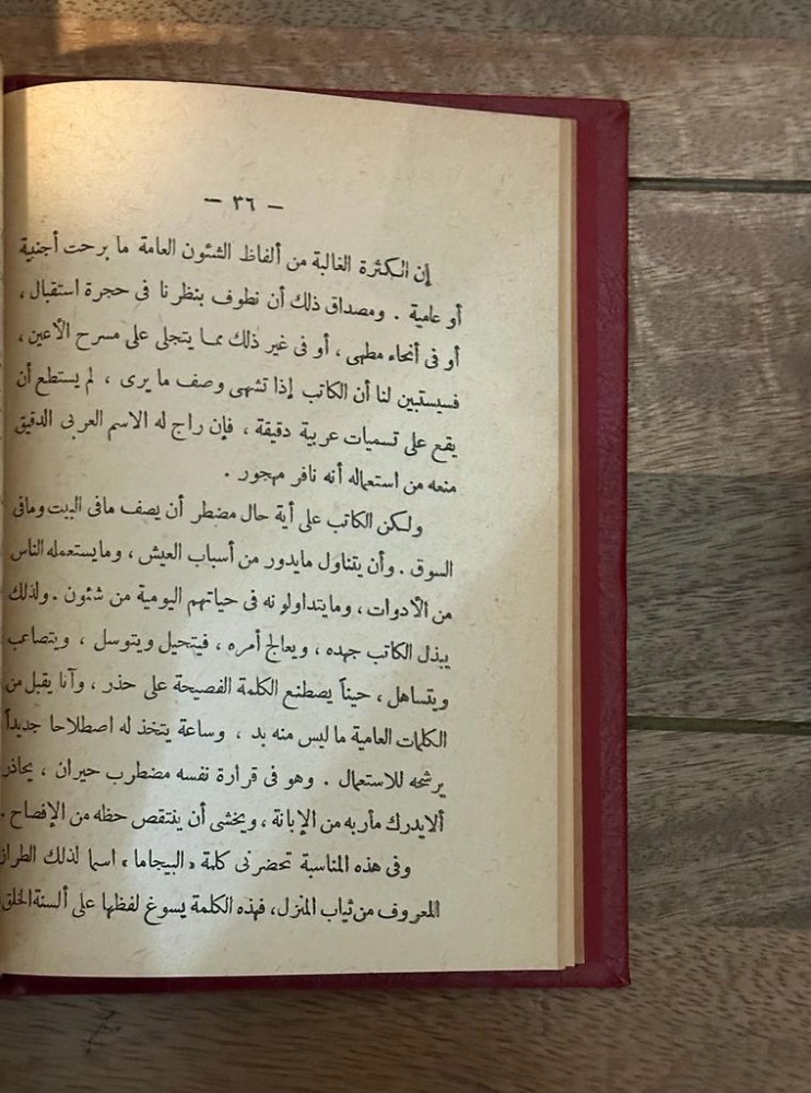 مشكلات اللغة العربية