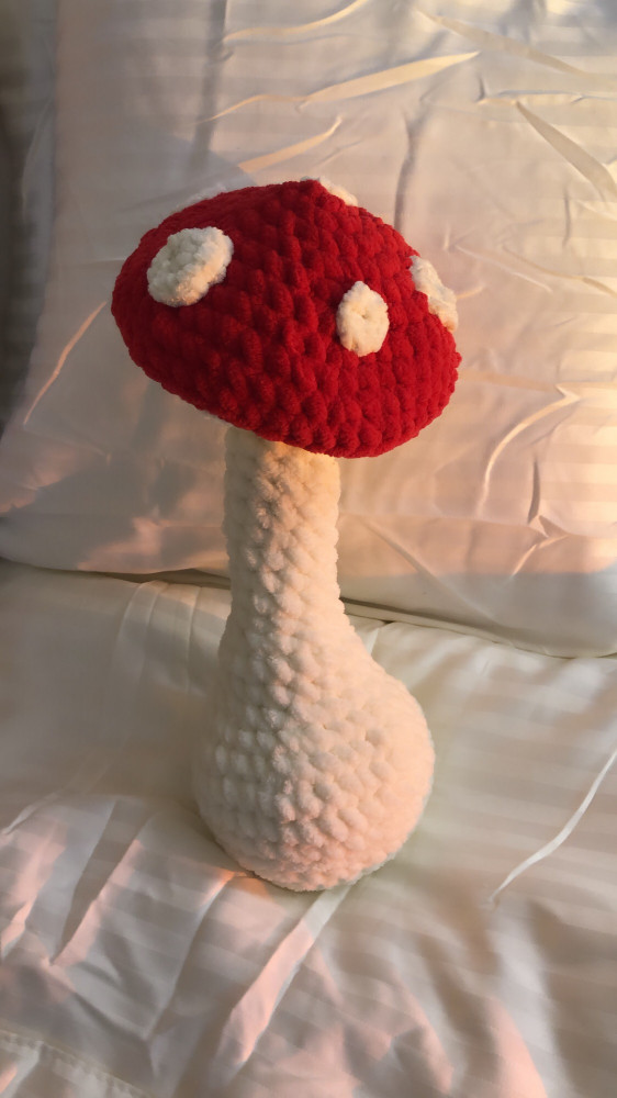 Big velvet mushroom