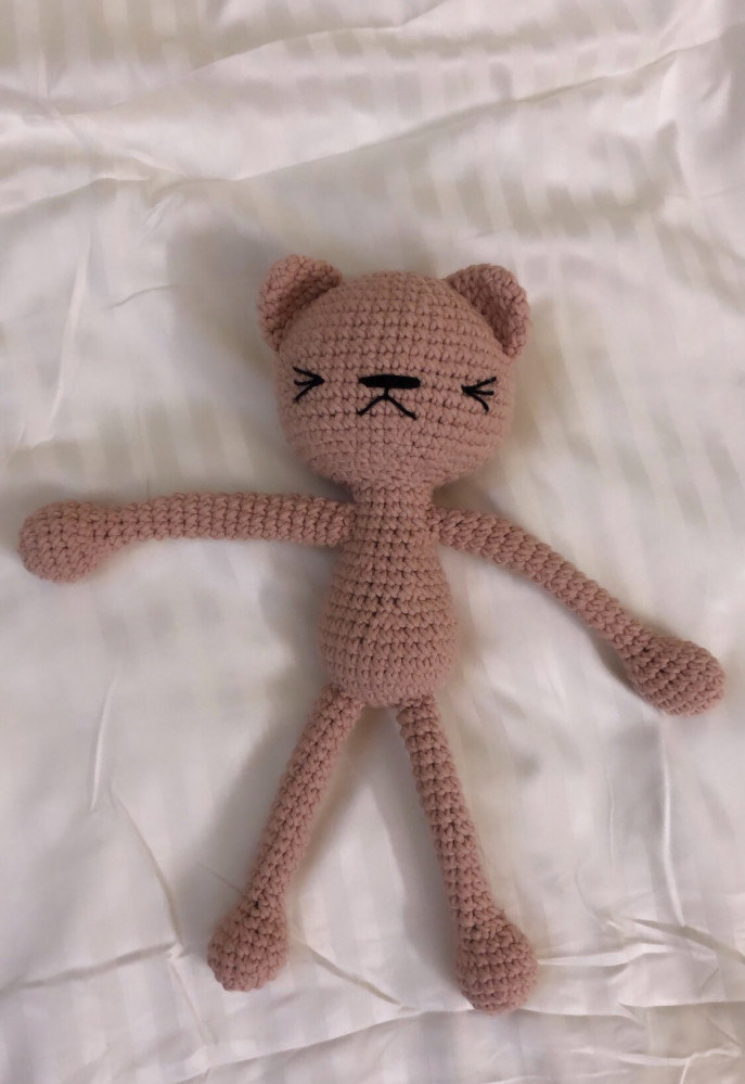 Grumpy cat