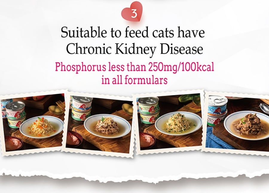 Natural Kitty canned tuna for cats 80g