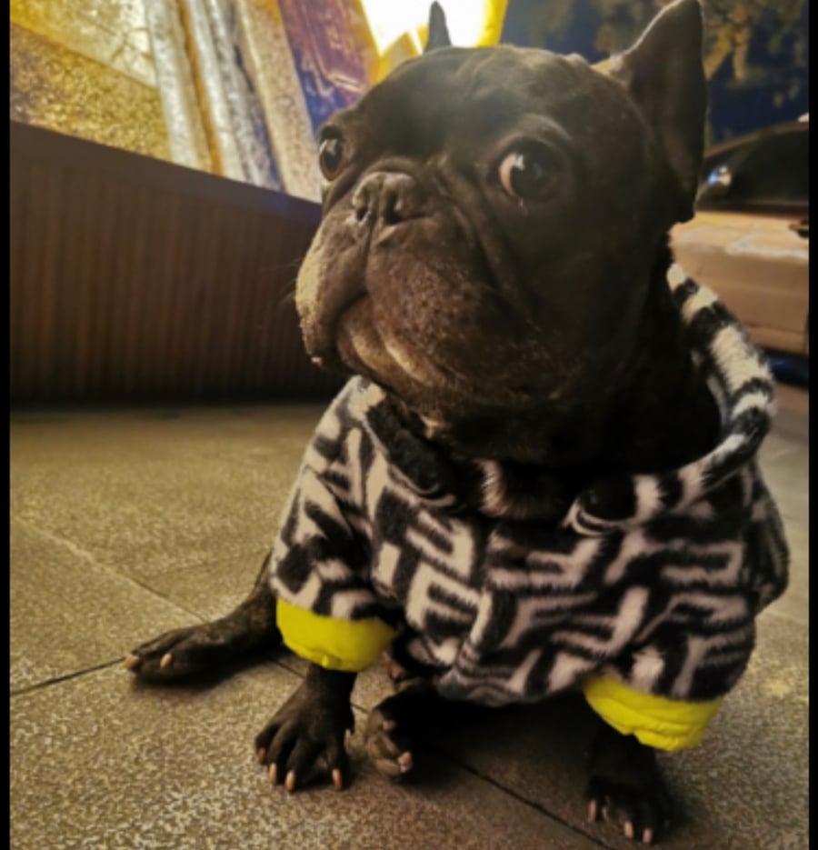 جاكيت fendi
