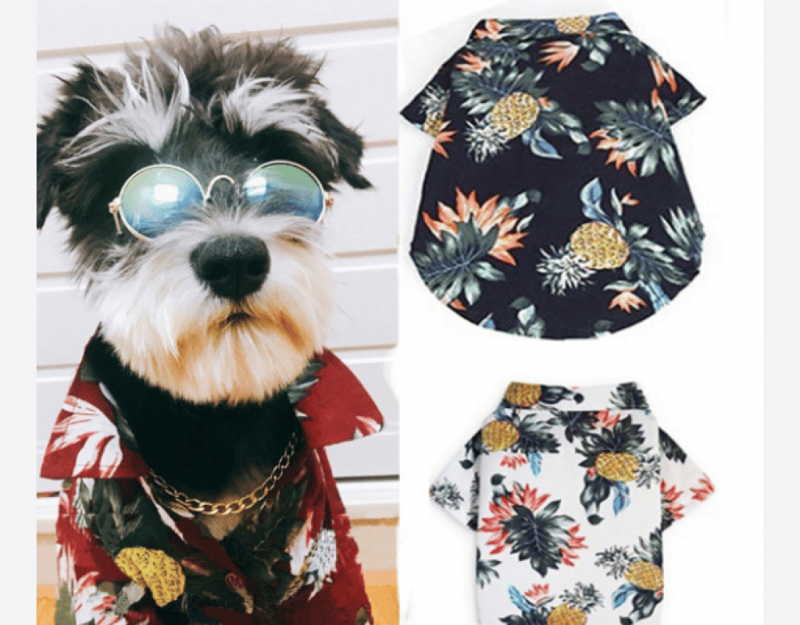 Dog Cat Shirts