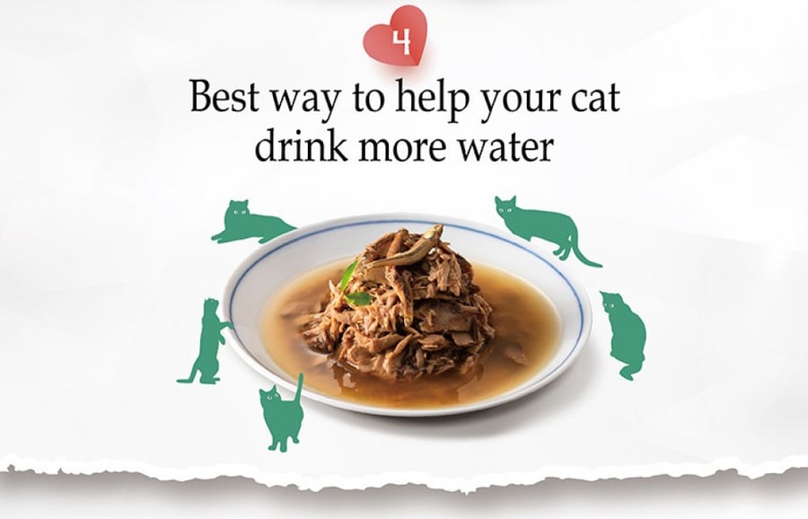 Natural Kitty canned tuna for cats 80g