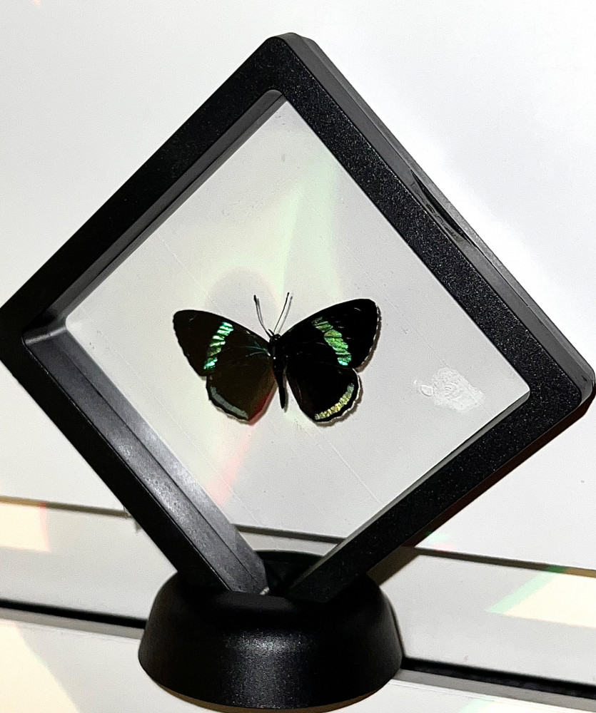 ‏Cramer's eighty-eight