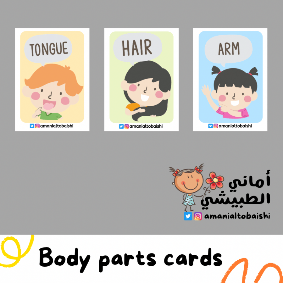 Body parts cards