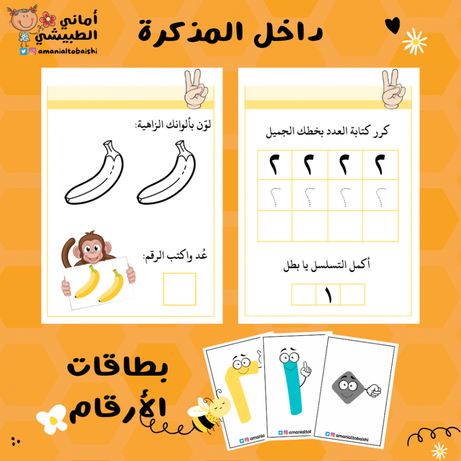 حقيبة الأرقام