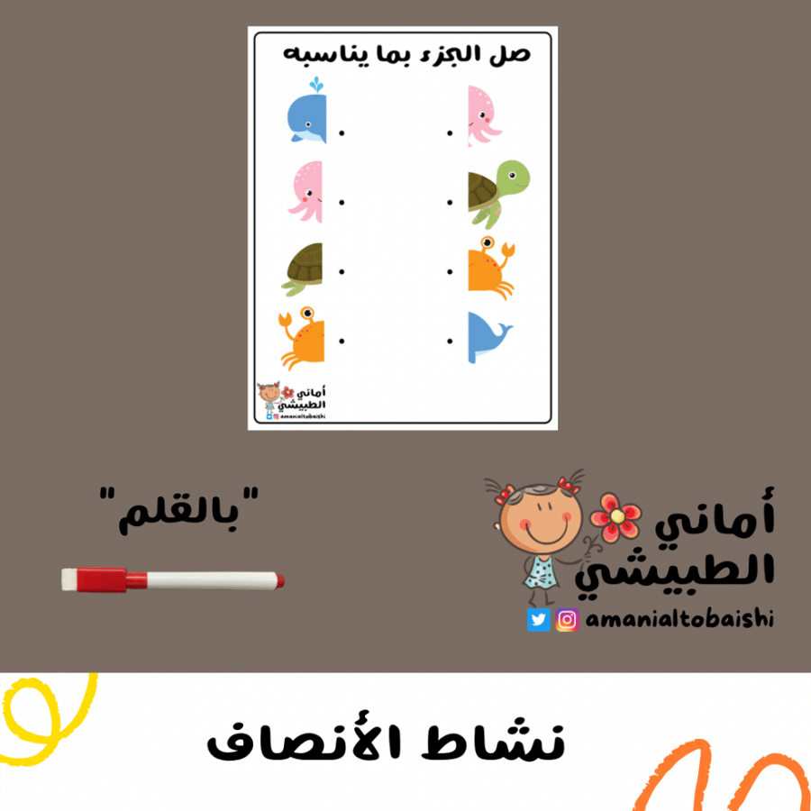 حقيبة الأنشطة