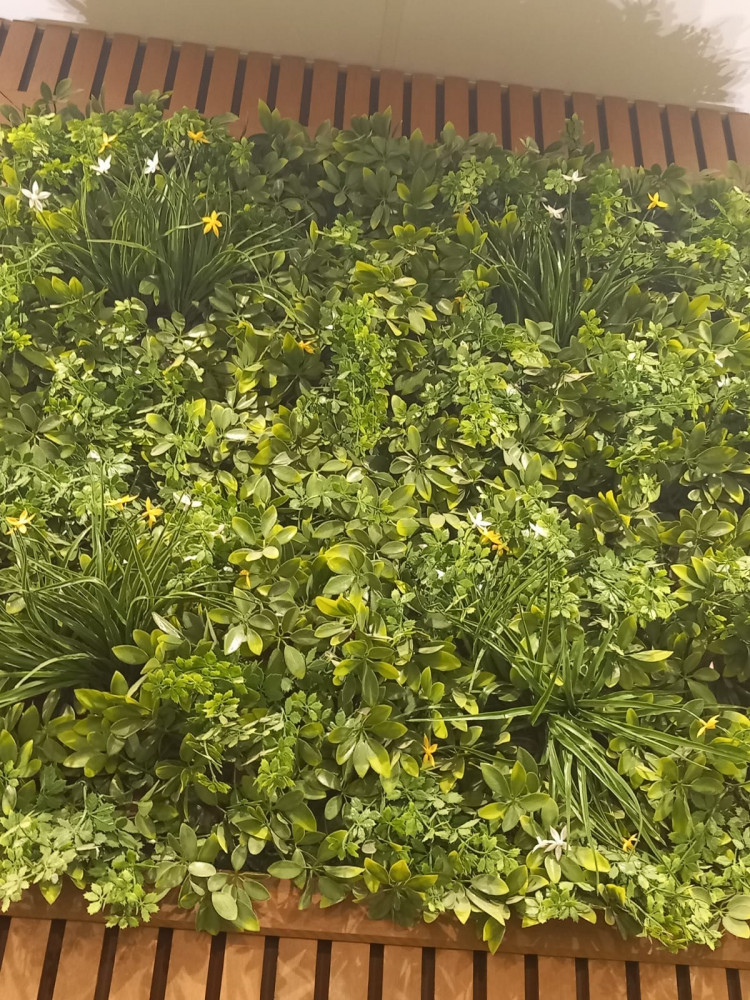 Artificial grass (Plus 3D)