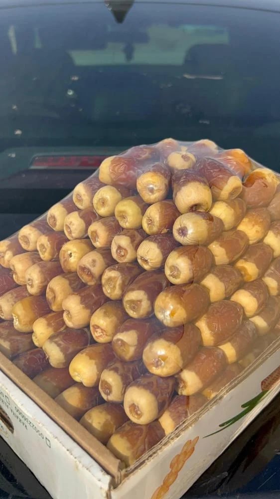 صقعي فاخر  5.5 كيلو