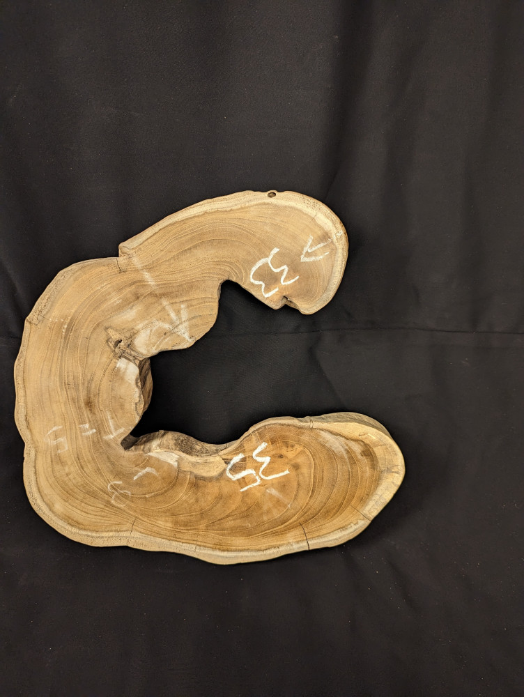Raw wood (Litchi)