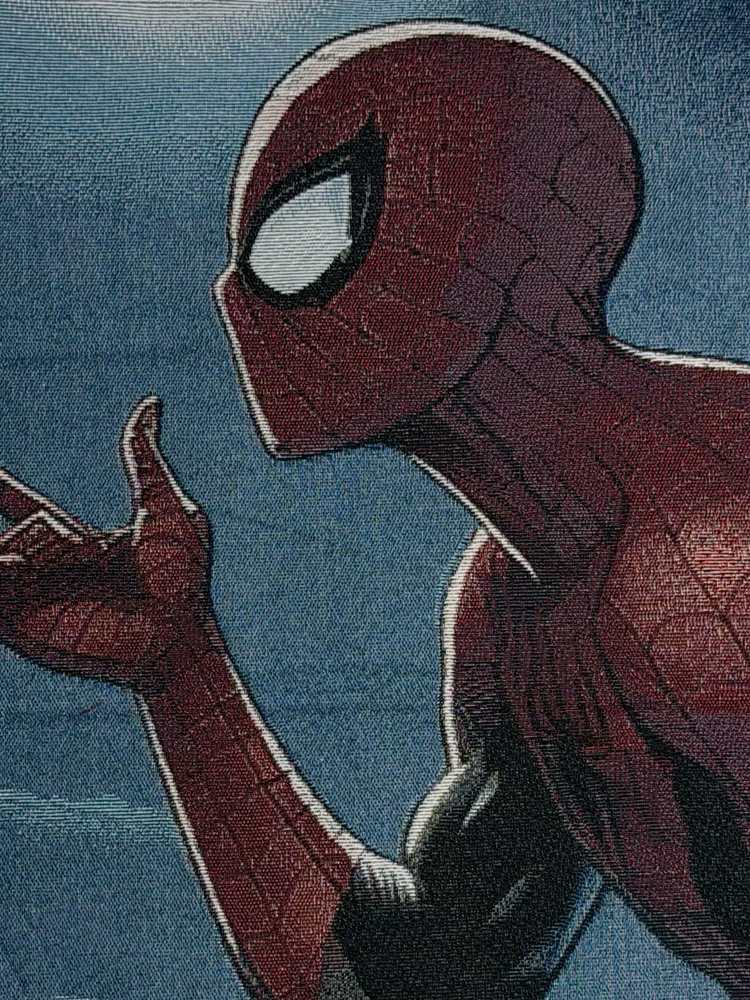 Spidey Bag