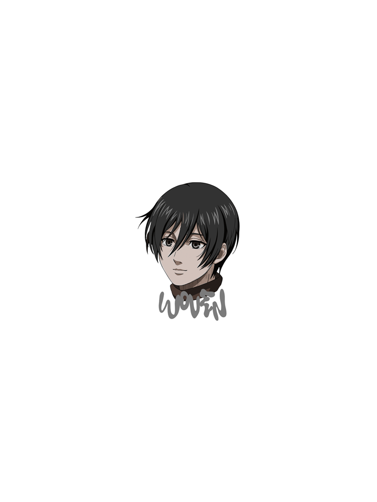 Attack on Titan Stickers