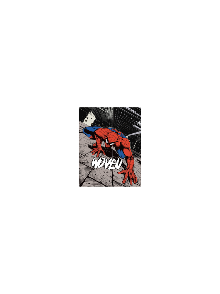 Spidey Stickers
