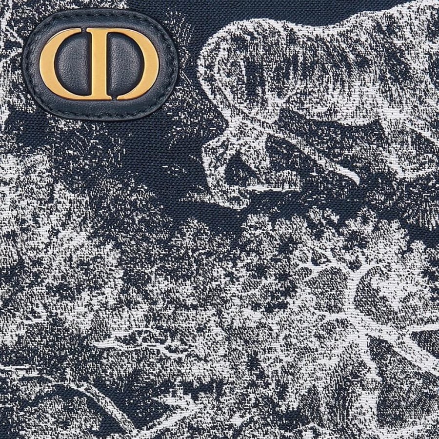 Pouch Dior