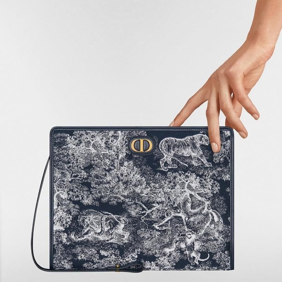 Pouch Dior