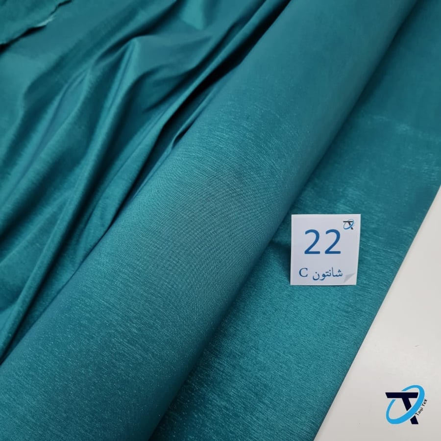 شانتون صيني 22