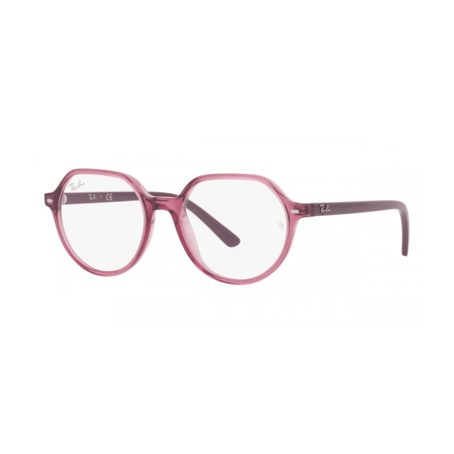 RayBan Frame