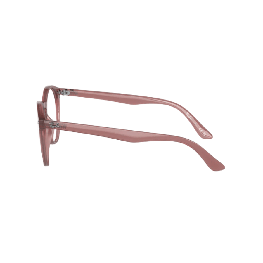 RayBan Frame
