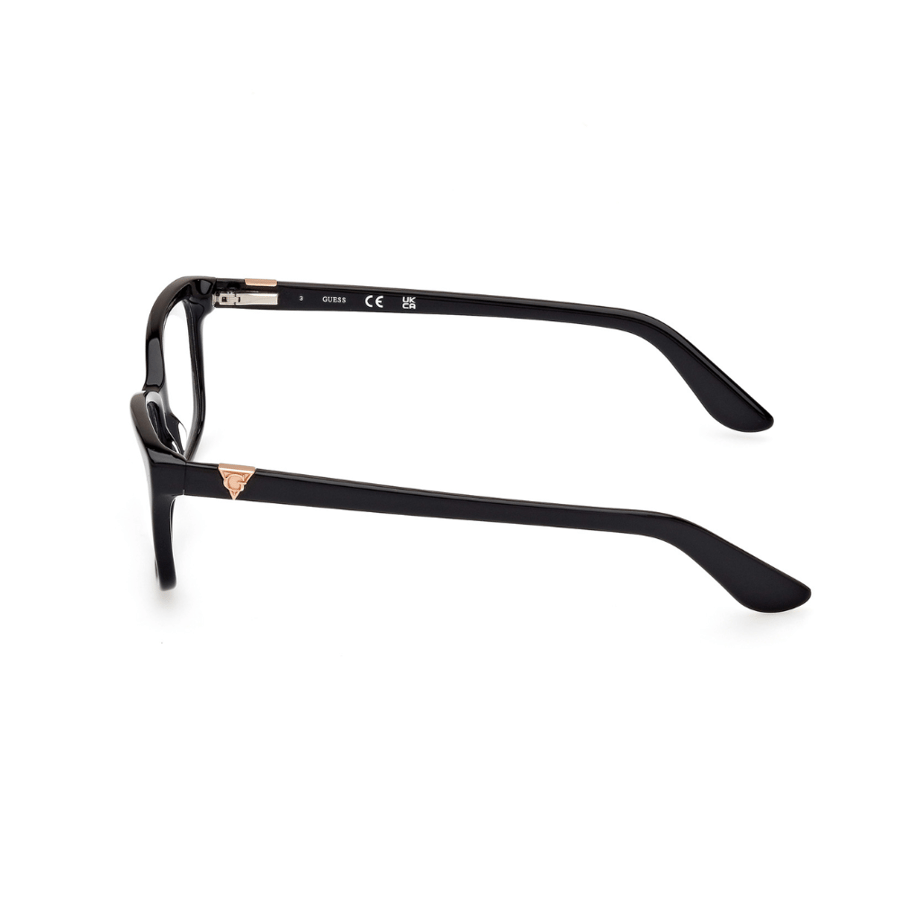 Guess Frame