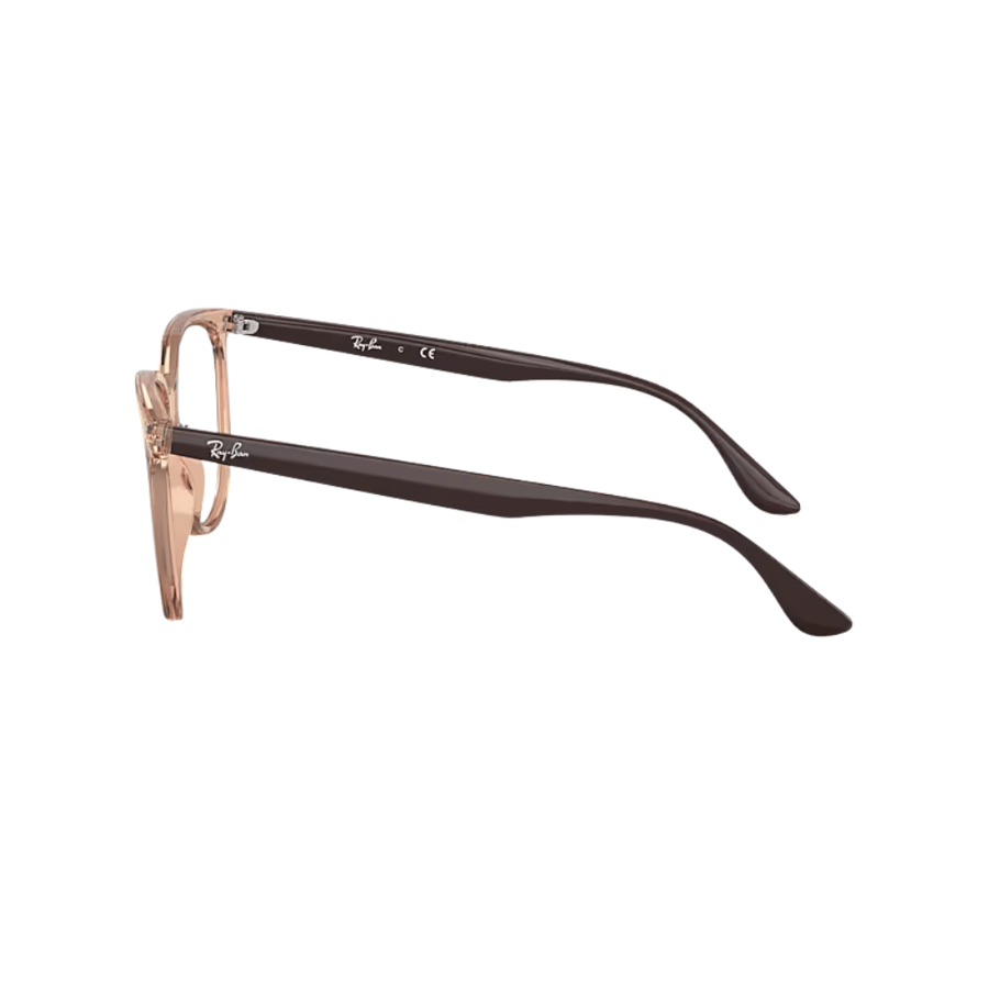 RayBan Frame