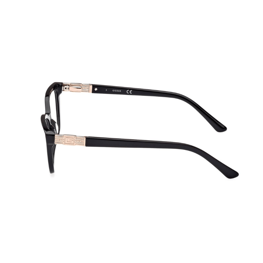 Guess Frame