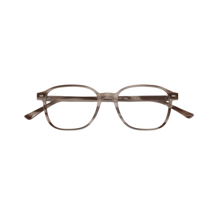 RayBan Frame
