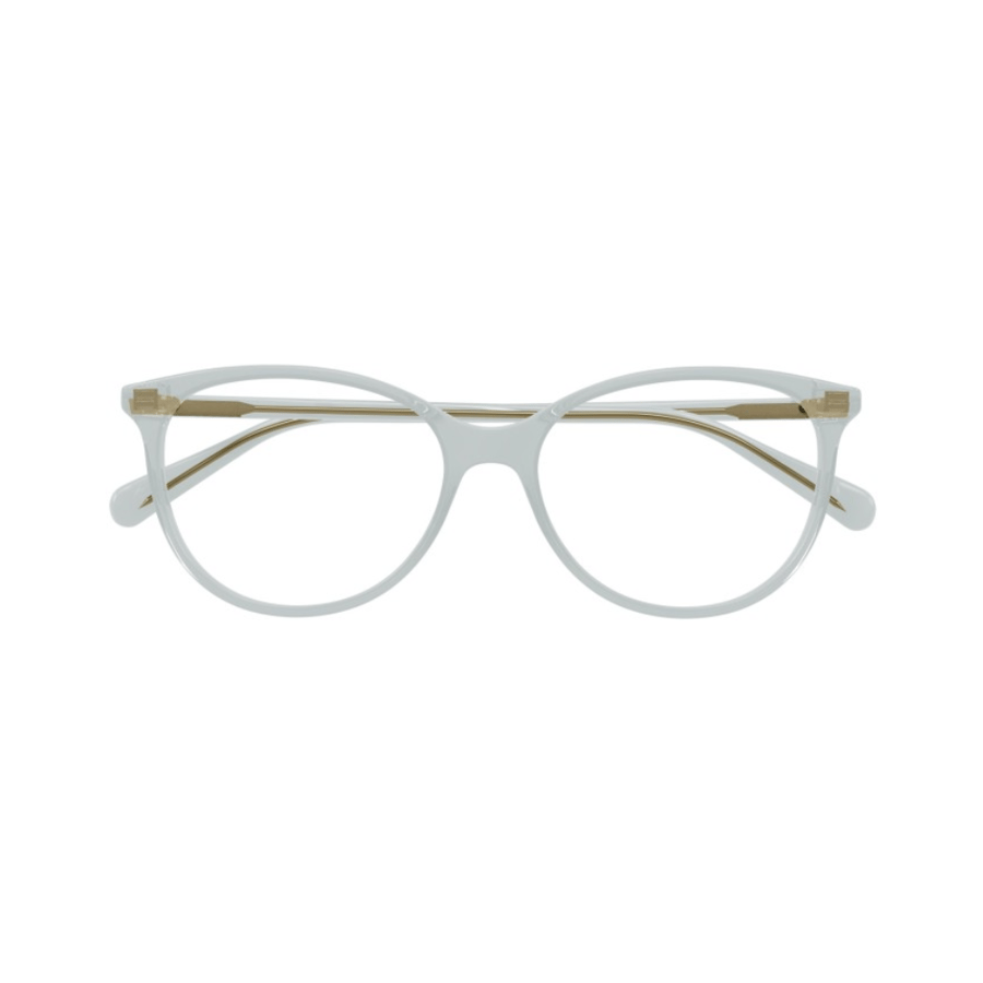 Gucci Frame