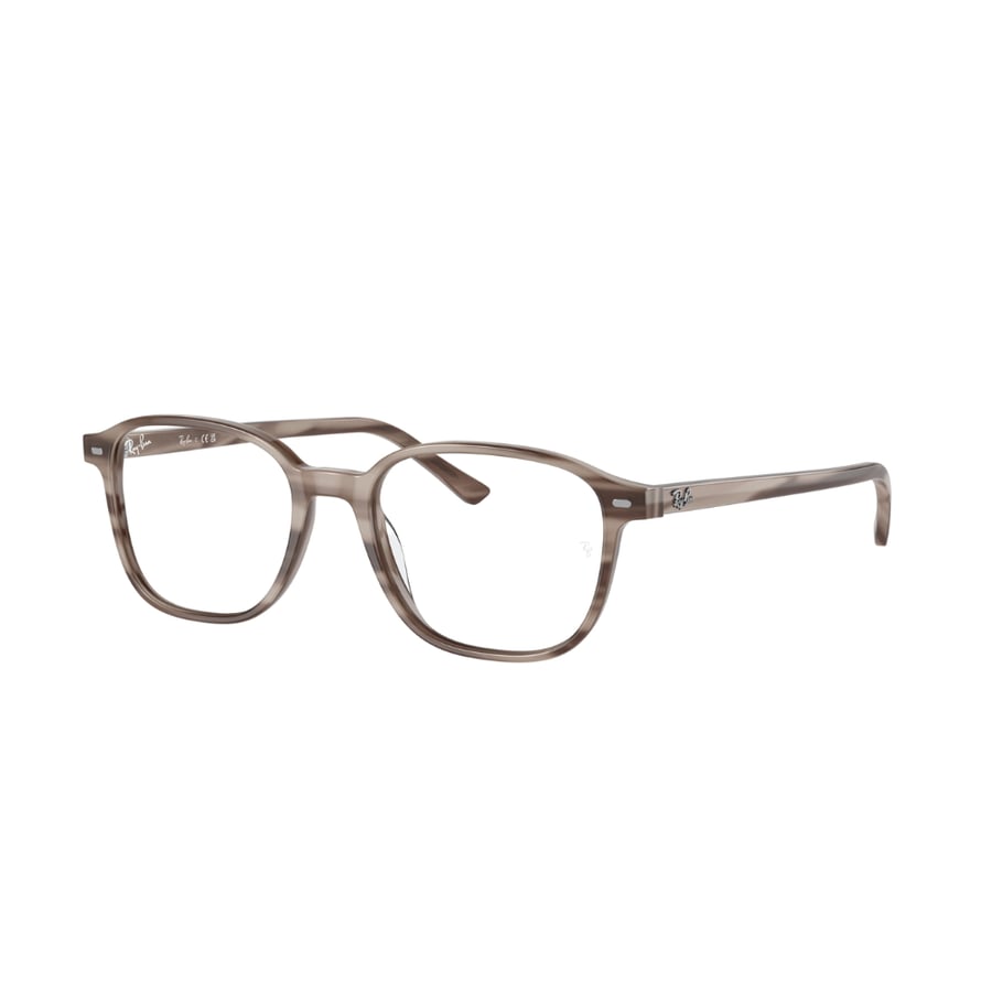 RayBan Frame