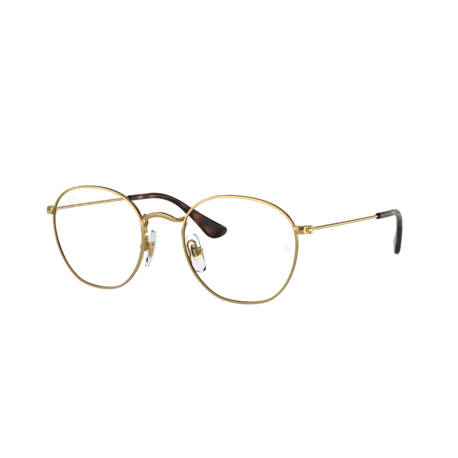 RayBan Frame