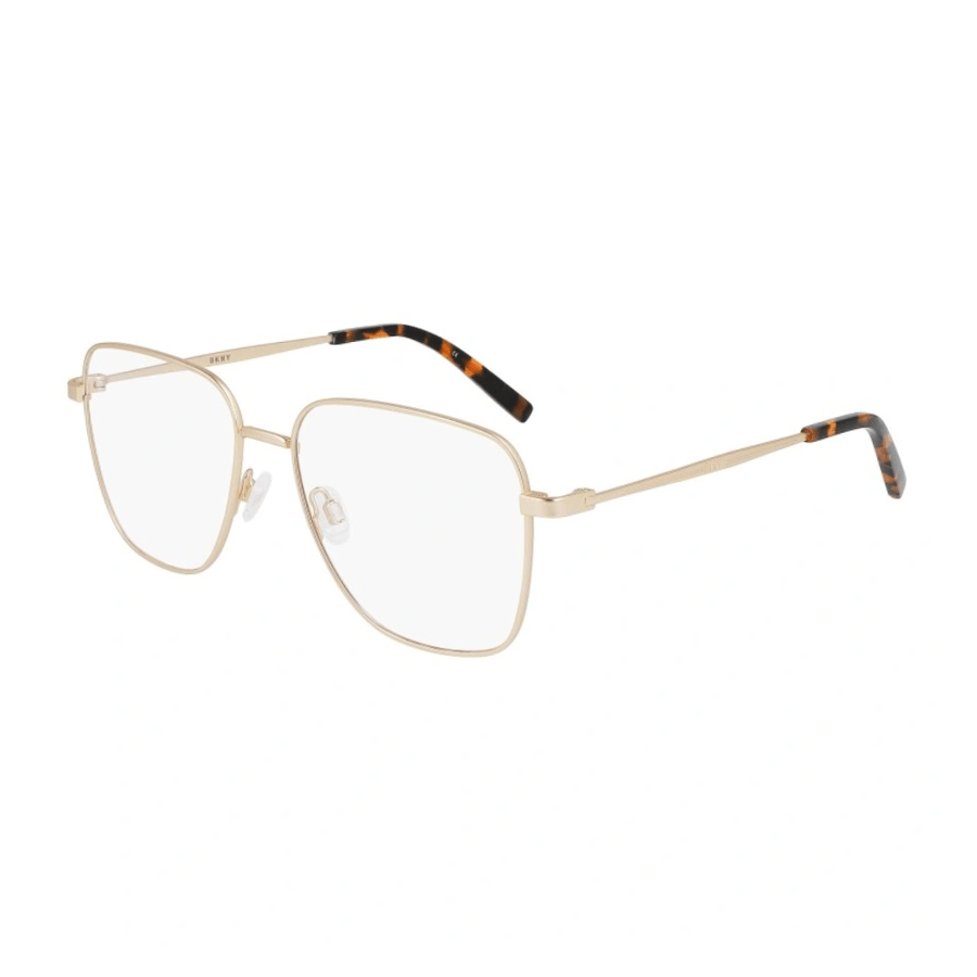 DKNY Frame