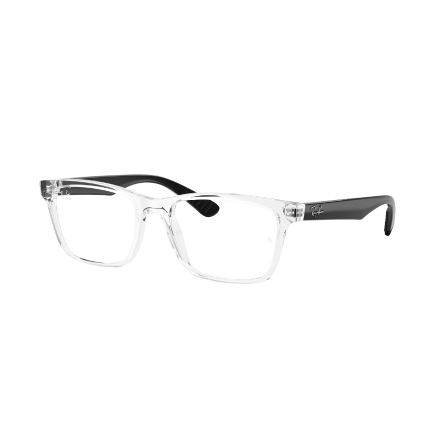 RayBan Frame