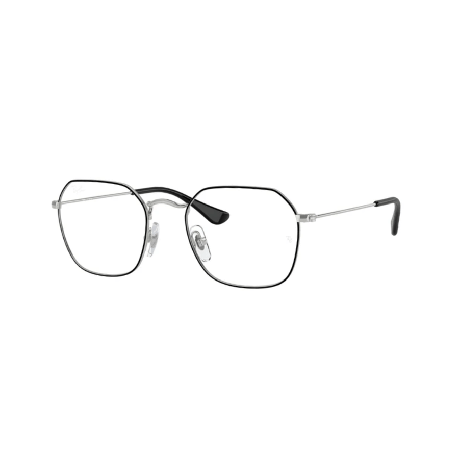 RayBan Frame