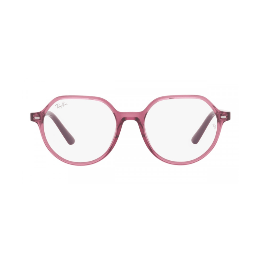 RayBan Frame
