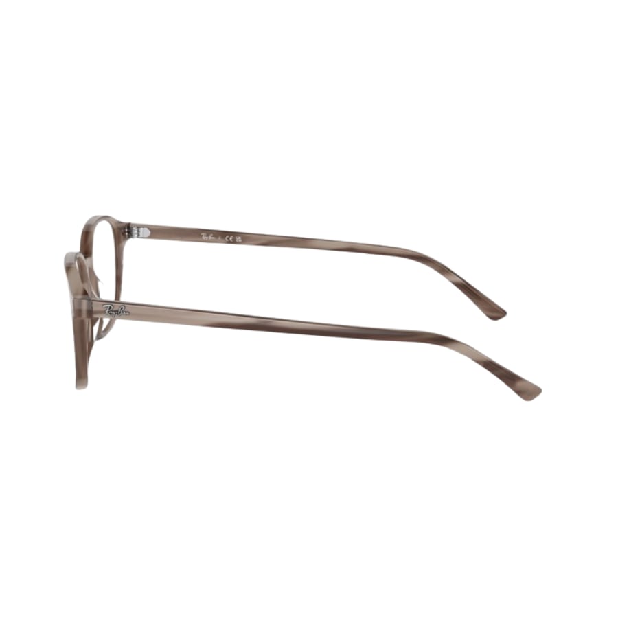 RayBan Frame
