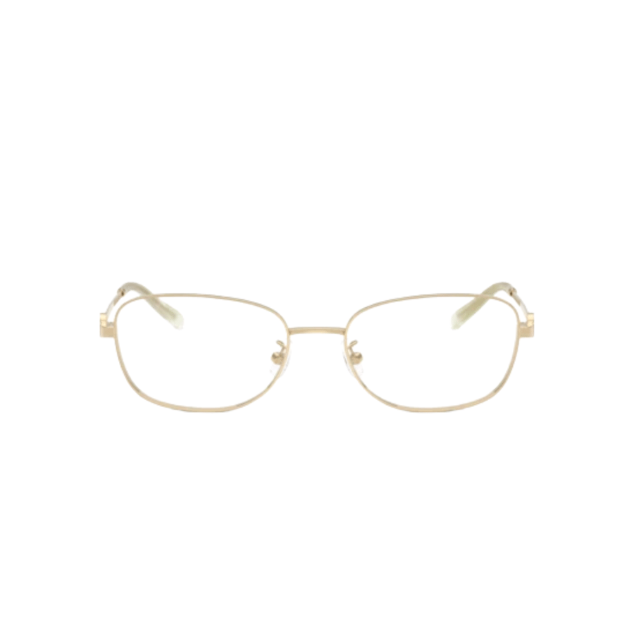Tory Burch Frame