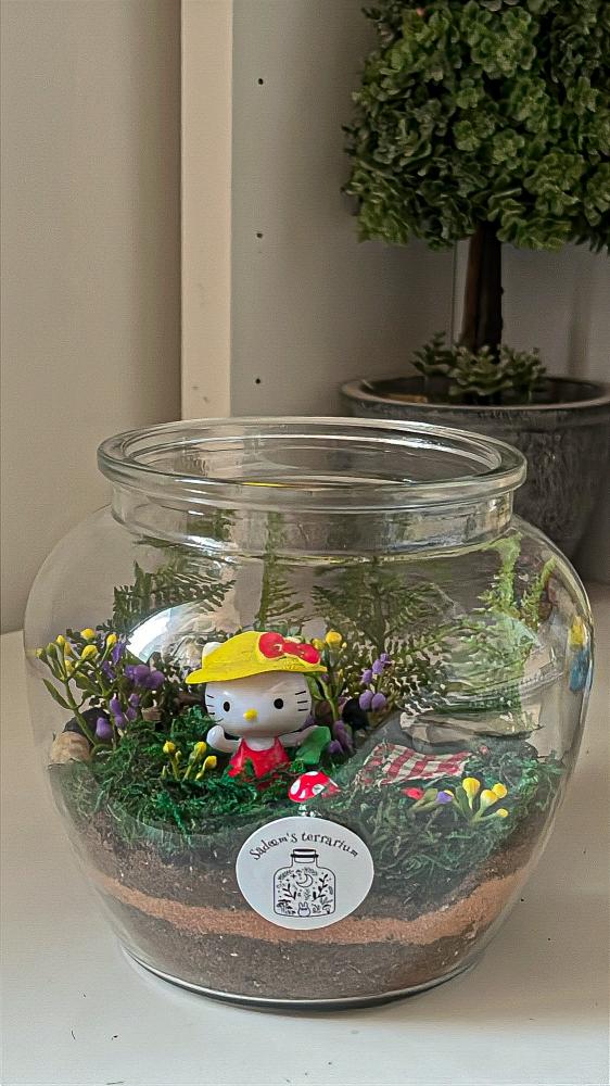 Hello kitty picnic