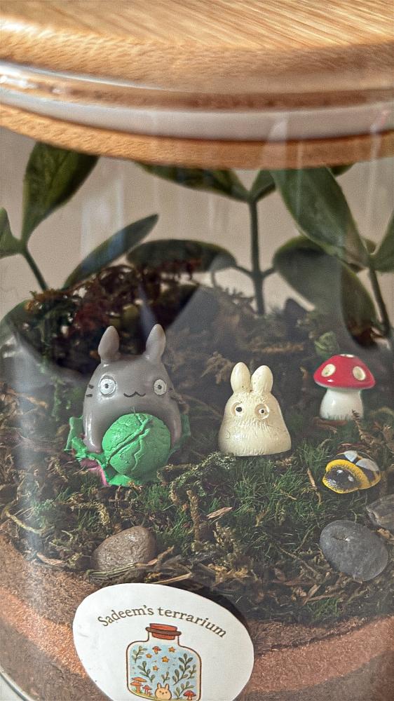 Totoro garden