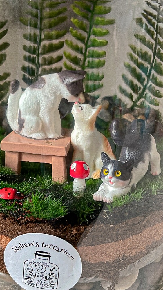 Kitties terrarium