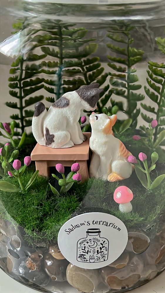 Cats flower