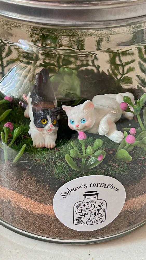 Kitties flowers